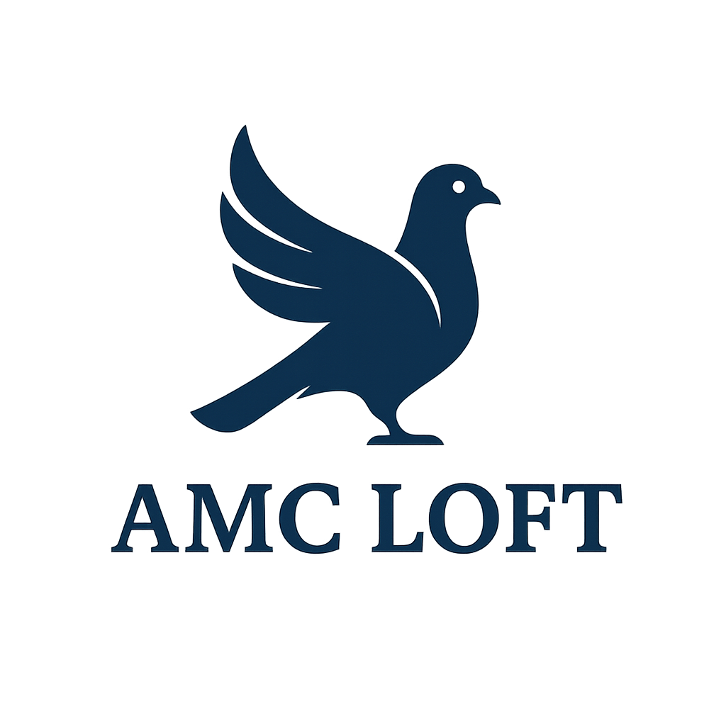 AMC LOFT